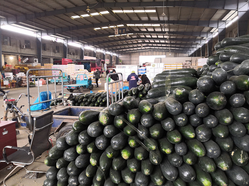 1580431757377993.jpg 1580431757377993.jpg