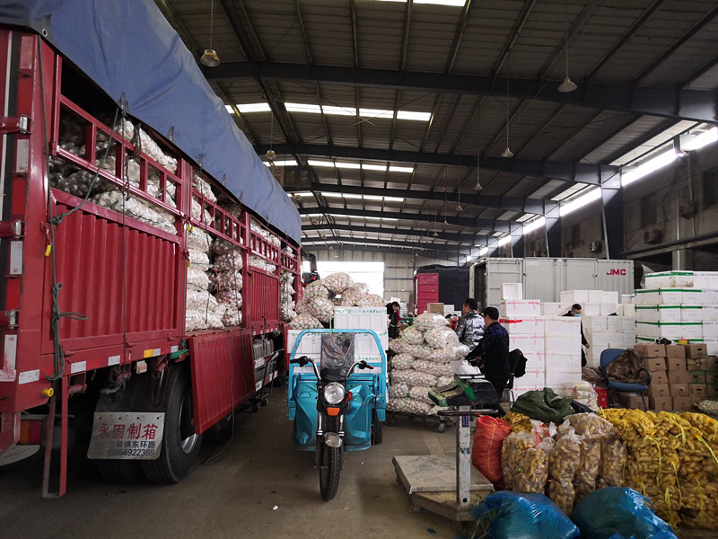 1580431926233760.jpg 1580431926233760.jpg