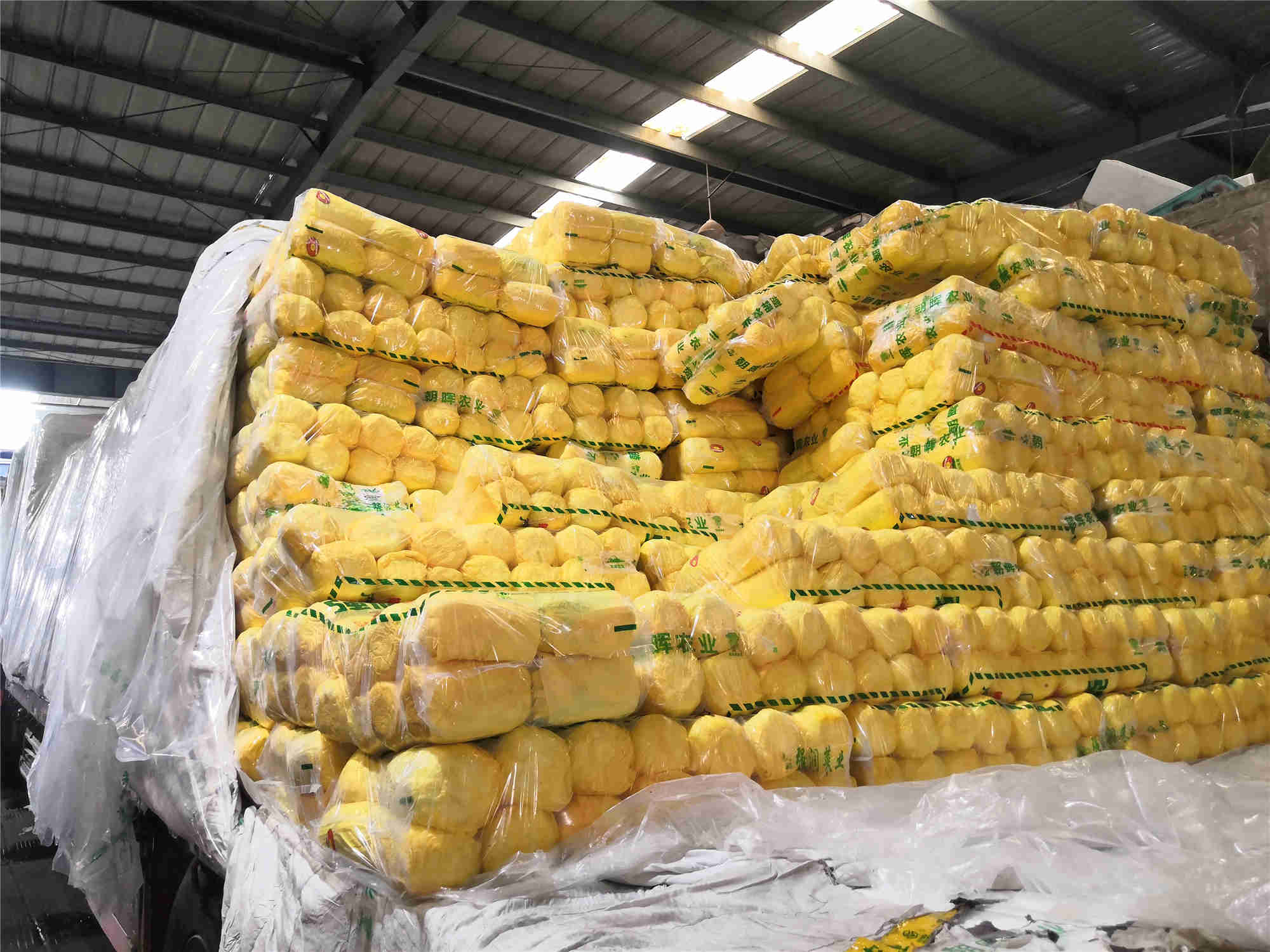 1630478350978336.jpg 1630478350978336.jpg