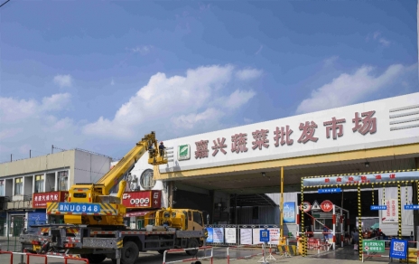 進(jìn)無(wú)止境，“嘉農?蔬菜人”